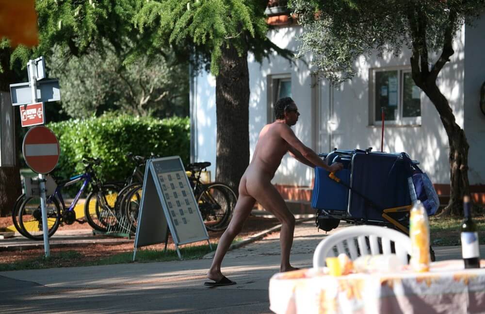 Park Side Street Pass-Bys photos - The practices of naturism teach us to appreciate life and harmony with the world around us