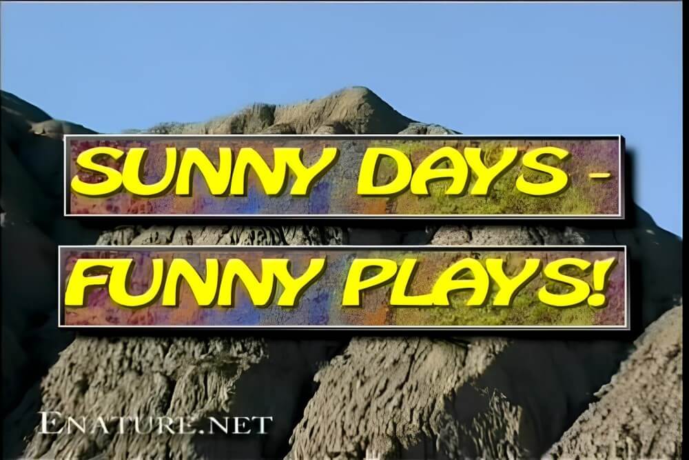 Enature - Sunny Days – Funny Plays - Physical freedom is important to many nudists