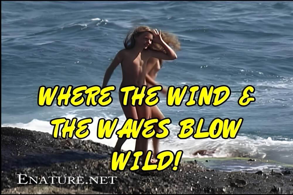 Enature - Where the Wind and the Waves Blow Wild! - The desire to admire the human form