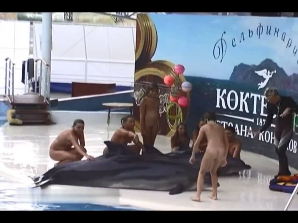 Relaxing at the dolphinarium - Nudism helps us accept ourselves and others